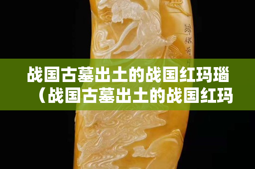 戰(zhàn)國古墓出土的戰(zhàn)國紅瑪瑙（戰(zhàn)國古墓出土的戰(zhàn)國紅瑪瑙圖片）