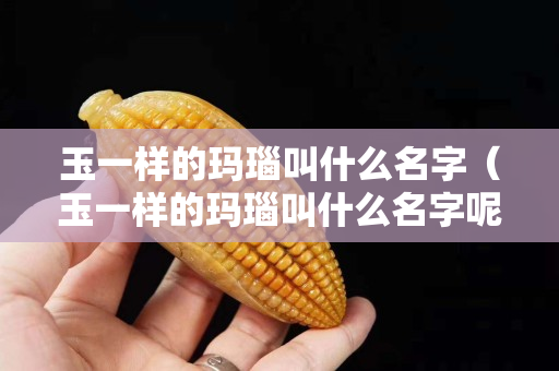 玉一樣的瑪瑙叫什么名字（玉一樣的瑪瑙叫什么名字呢）