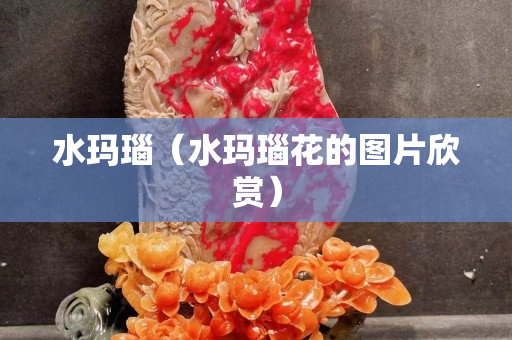 水瑪瑙（水瑪瑙花的圖片欣賞）