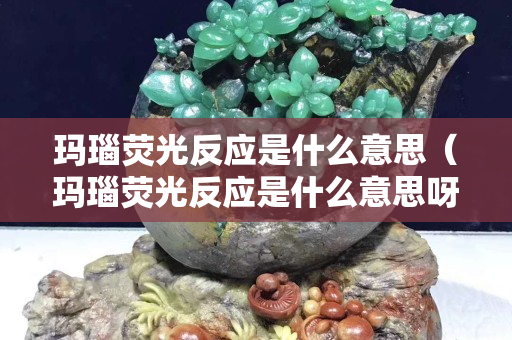 瑪瑙熒光反應是什么意思（瑪瑙熒光反應是什么意思呀）