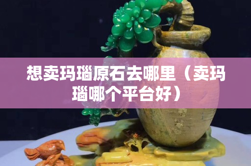 想賣瑪瑙原石去哪里（賣瑪瑙哪個平臺好）