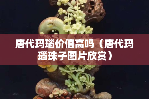 唐代瑪瑙價值高嗎（唐代瑪瑙珠子圖片欣賞）