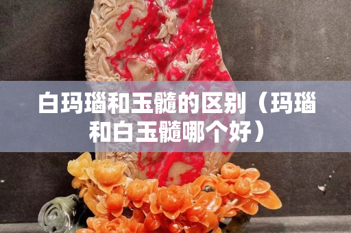 白瑪瑙和玉髓的區(qū)別（瑪瑙和白玉髓哪個(gè)好）