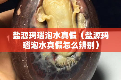 鹽源瑪瑙泡水真假（鹽源瑪瑙泡水真假怎么辨別）