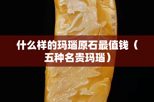 什么樣的瑪瑙原石最值錢（五種名貴瑪瑙）