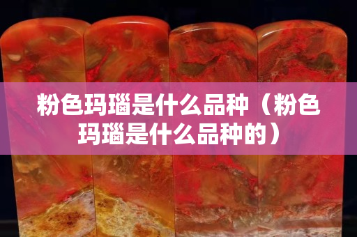 粉色瑪瑙是什么品種（粉色瑪瑙是什么品種的）
