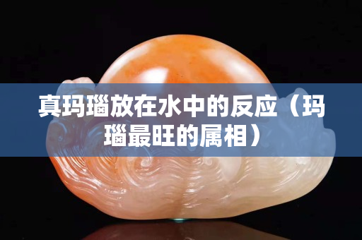 真瑪瑙放在水中的反應（瑪瑙最旺的屬相）