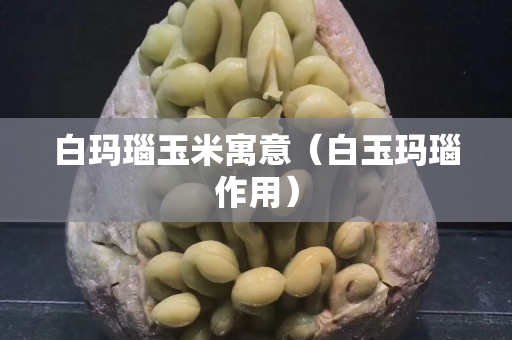 白瑪瑙玉米寓意（白玉瑪瑙作用）