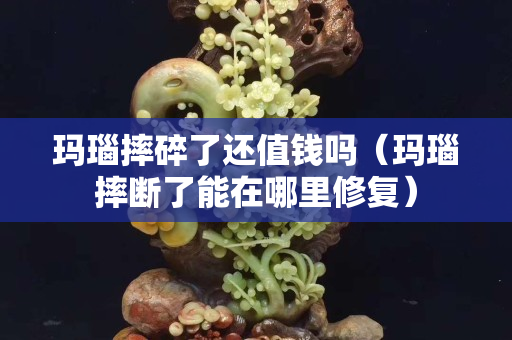 瑪瑙摔碎了還值錢嗎（瑪瑙摔斷了能在哪里修復）