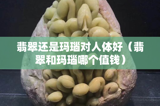 翡翠還是瑪瑙對人體好（翡翠和瑪瑙哪個值錢）