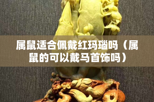 屬鼠適合佩戴紅瑪瑙嗎（屬鼠的可以戴馬首飾嗎）