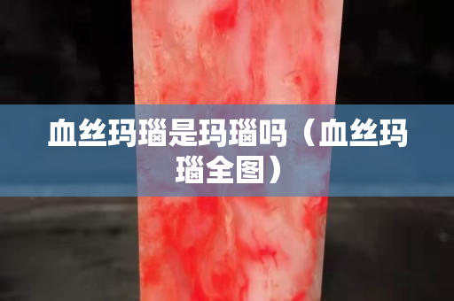 血絲瑪瑙是瑪瑙嗎（血絲瑪瑙全圖）