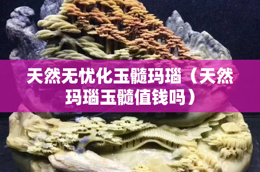 天然無憂化玉髓瑪瑙（天然瑪瑙玉髓值錢嗎）