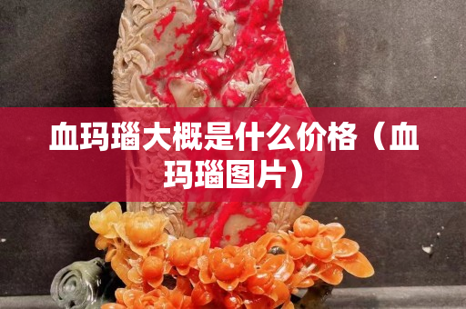 血瑪瑙大概是什么價格（血瑪瑙圖片）