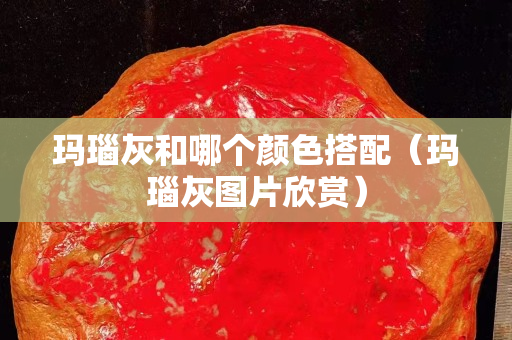 瑪瑙灰和哪個顏色搭配（瑪瑙灰圖片欣賞）