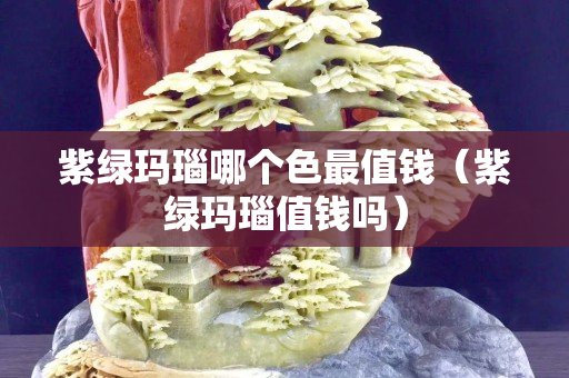 紫綠瑪瑙哪個色最值錢（紫綠瑪瑙值錢嗎）