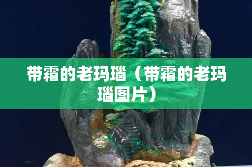 帶霜的老瑪瑙（帶霜的老瑪瑙圖片）