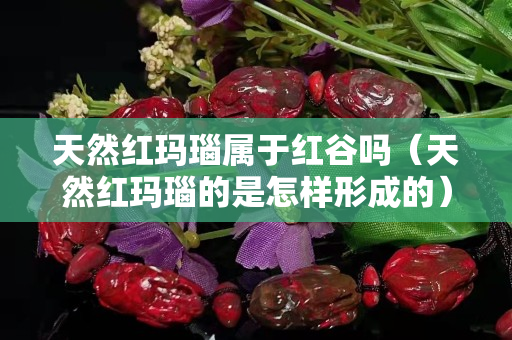 天然紅瑪瑙屬于紅谷嗎（天然紅瑪瑙的是怎樣形成的）
