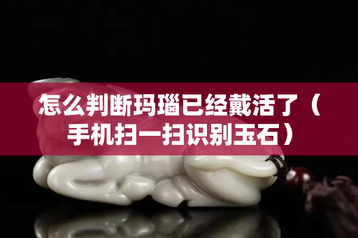 怎么判斷瑪瑙已經戴活了（手機掃一掃識別玉石）