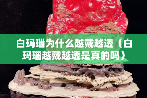 白瑪瑙為什么越戴越透（白瑪瑙越戴越透是真的嗎）