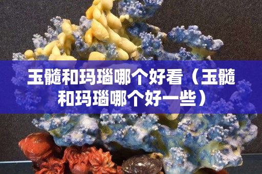 玉髓和瑪瑙哪個(gè)好看（玉髓和瑪瑙哪個(gè)好一些）