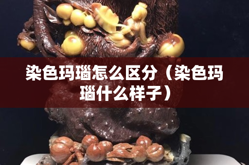 染色瑪瑙怎么區分（染色瑪瑙什么樣子）