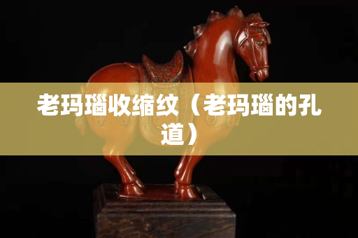 老瑪瑙收縮紋（老瑪瑙的孔道）