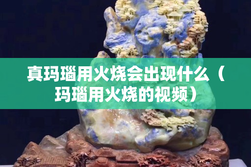 真瑪瑙用火燒會出現什么（瑪瑙用火燒的視頻）