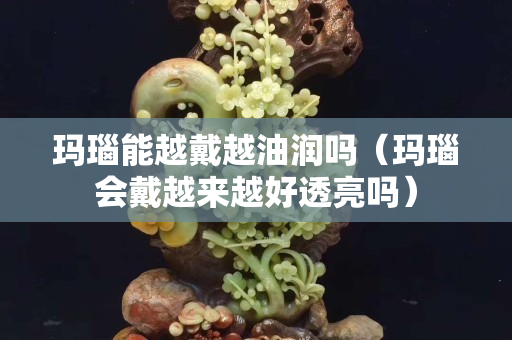 瑪瑙能越戴越油潤嗎（瑪瑙會戴越來越好透亮嗎）