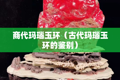 商代瑪瑙玉環（古代瑪瑙玉環的鑒別）