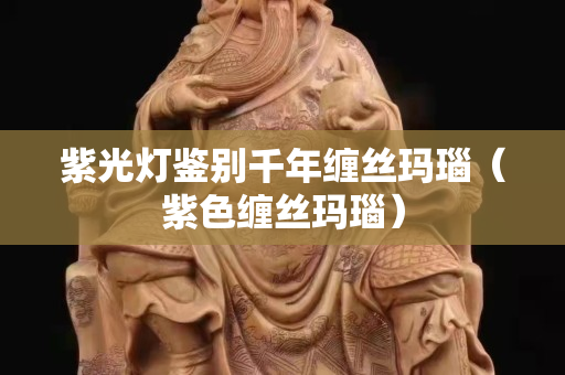 紫光燈鑒別千年纏絲瑪瑙（紫色纏絲瑪瑙）