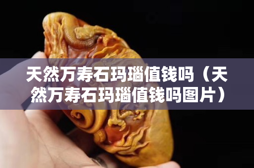 天然萬壽石瑪瑙值錢嗎（天然萬壽石瑪瑙值錢嗎圖片）