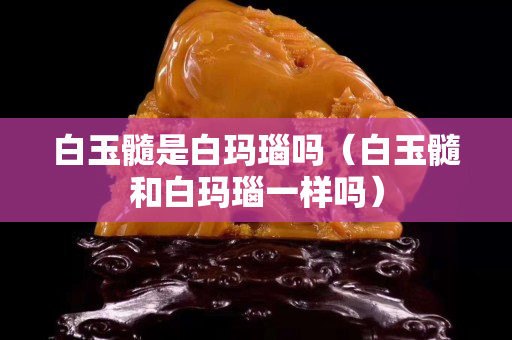 白玉髓是白瑪瑙嗎（白玉髓和白瑪瑙一樣嗎）