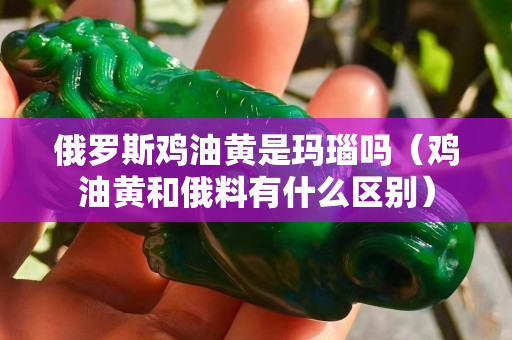 俄羅斯雞油黃是瑪瑙嗎（雞油黃和俄料有什么區(qū)別）