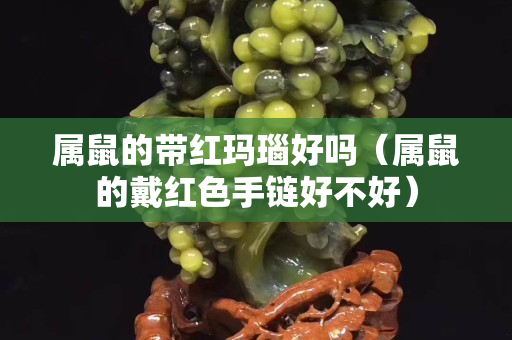 屬鼠的帶紅瑪瑙好嗎（屬鼠的戴紅色手鏈好不好）