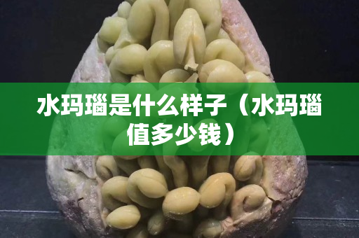 水瑪瑙是什么樣子（水瑪瑙值多少錢）