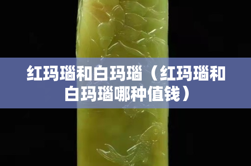 紅瑪瑙和白瑪瑙（紅瑪瑙和白瑪瑙哪種值錢）