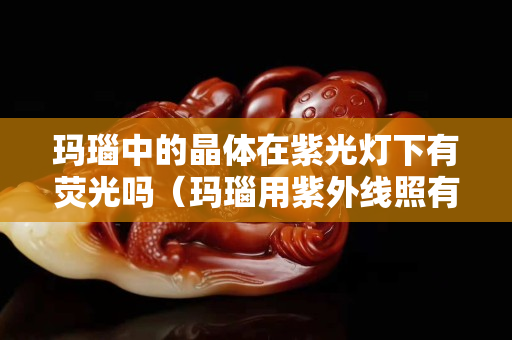 瑪瑙中的晶體在紫光燈下有熒光嗎（瑪瑙用紫外線照有熒光）