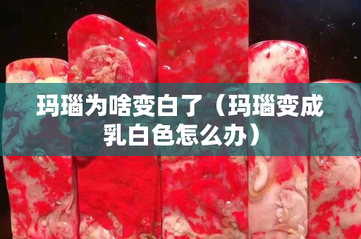 瑪瑙為啥變白了（瑪瑙變成乳白色怎么辦）