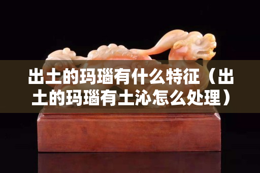 出土的瑪瑙有什么特征（出土的瑪瑙有土沁怎么處理）