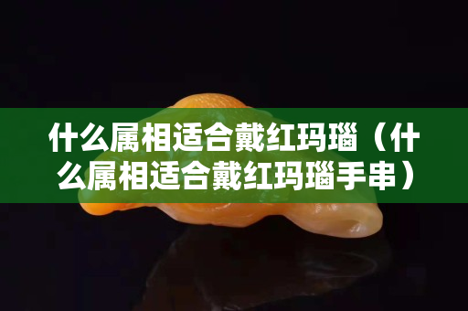 什么屬相適合戴紅瑪瑙（什么屬相適合戴紅瑪瑙手串）
