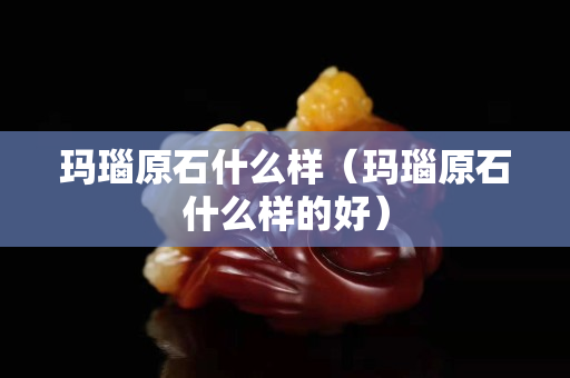 瑪瑙原石什么樣（瑪瑙原石什么樣的好）