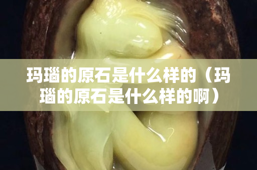瑪瑙的原石是什么樣的（瑪瑙的原石是什么樣的啊）