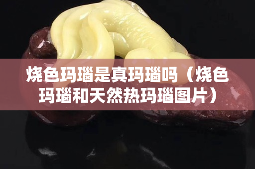 燒色瑪瑙是真瑪瑙嗎（燒色瑪瑙和天然熱瑪瑙圖片）