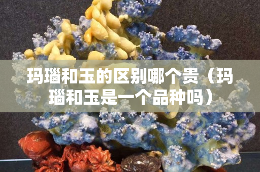 瑪瑙和玉的區別哪個貴（瑪瑙和玉是一個品種嗎）