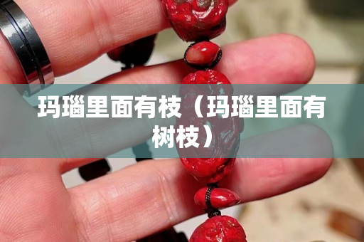 瑪瑙里面有枝（瑪瑙里面有樹枝）