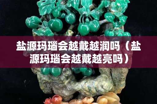鹽源瑪瑙會越戴越潤嗎（鹽源瑪瑙會越戴越亮嗎）