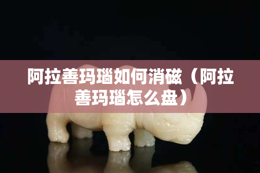 阿拉善瑪瑙如何消磁（阿拉善瑪瑙怎么盤）