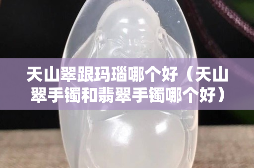 天山翠跟瑪瑙哪個(gè)好（天山翠手鐲和翡翠手鐲哪個(gè)好）