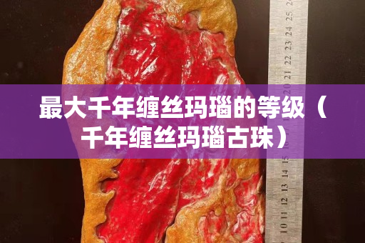最大千年纏絲瑪瑙的等級（千年纏絲瑪瑙古珠）